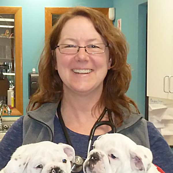 Dr. Anne Fleming, Somerset Veterinarian